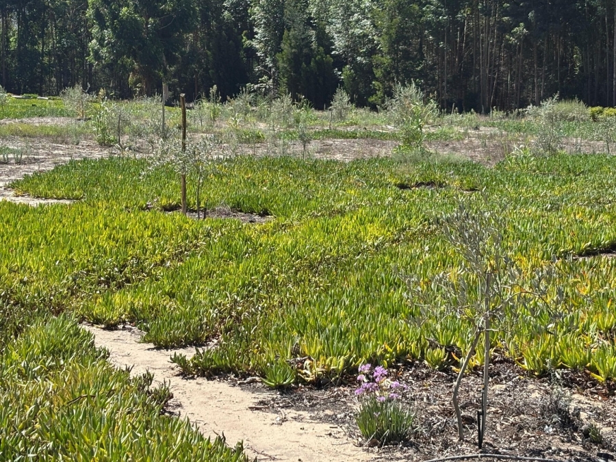 3 Bedroom Property for Sale in Twee Riviere Eastern Cape